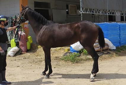 ������������ ����