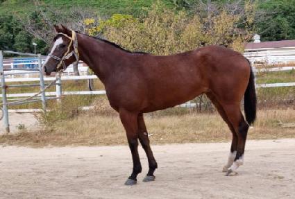 �۽�Ʈ������ ����