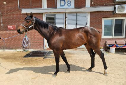 ����Ʈ���̹� ����