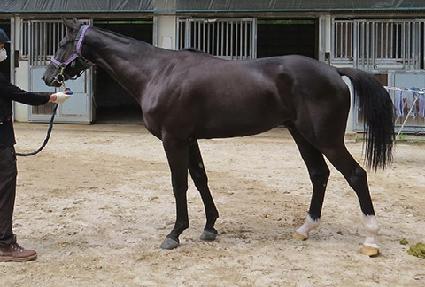 ���������� ����