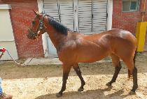 ����Ǯ�� (WONDERFUL PHONE) ����