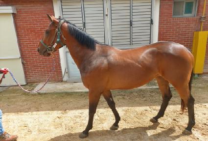 ����Ǯ�� ����