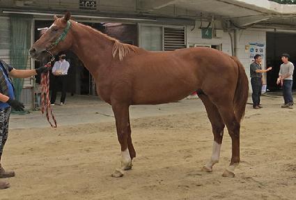 ������ȣ ����