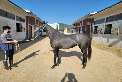 ����Ǯ�ص��� ����