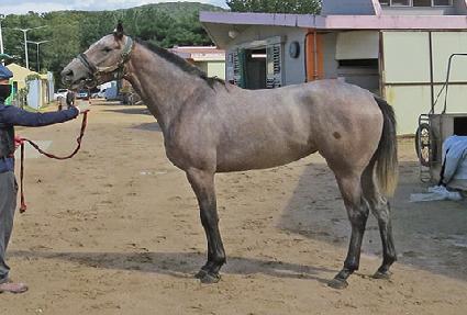 �����Ʈ���� ����