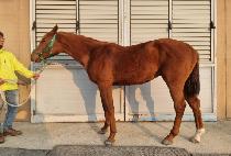 POINT POSITION picture