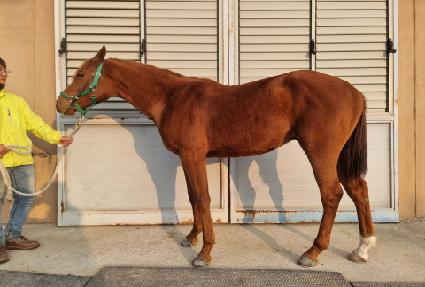 ����Ʈ������ ����