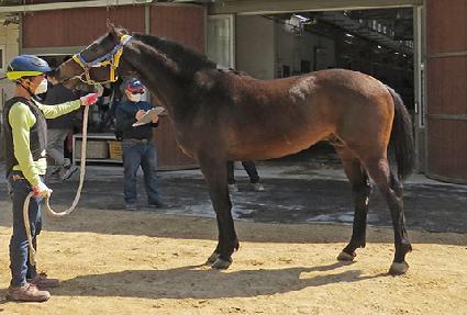 �Ŀ�Ǯȭ�� ����