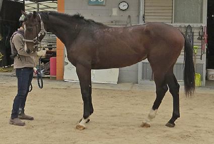 ���̾�Ʈ�ε� ����