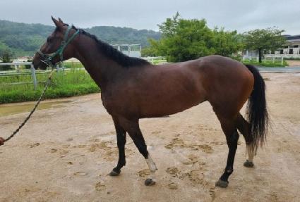 ������� ����