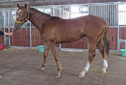 �Ѱ��Ŀ� ����