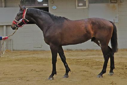 �̽��ͽ�Ÿ ����