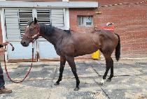 ��Ʋ�� (ATLAS) ����