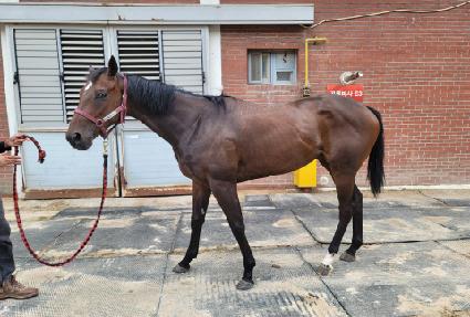 ��Ʋ�� ����