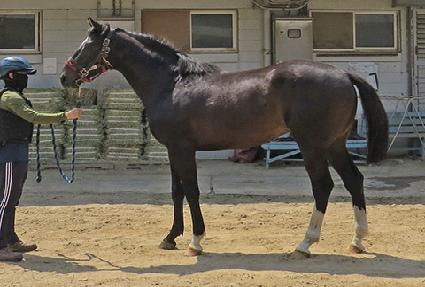 ��������� ����