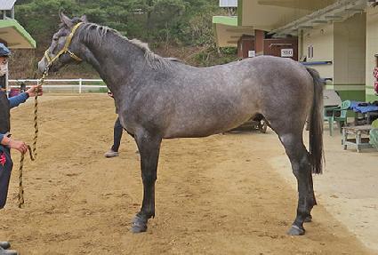 �ε���Ǻ� ����