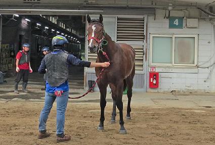 ���̽�ũ�� ����