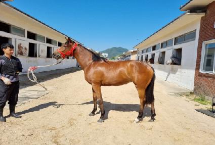 ����Ǯ���� ����