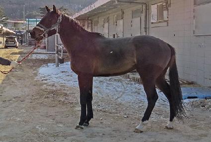 ��ǳ���� ����