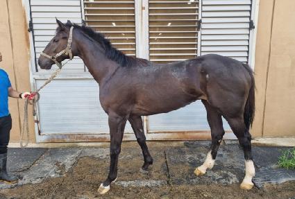 ���̽������� ����