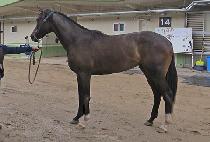 ��ǳ�Ѻ� (JILPUNGHANBYEOL) ����