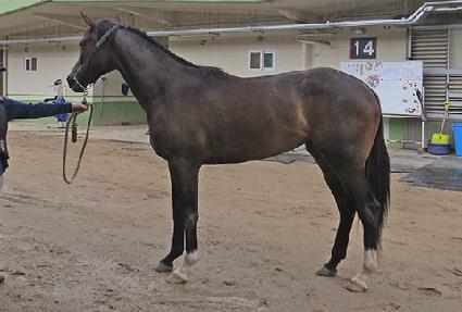 ��ǳ�Ѻ� ����