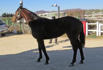 ��ǳ���� ����