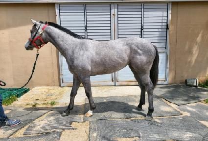 ��������ƾ ����