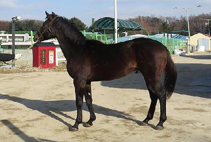 ��ǳ���� ����