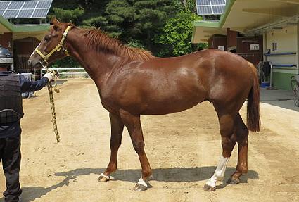 �ô��Ǹ��� ����