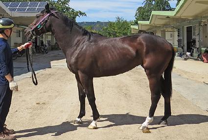 ���̺ҷ� ����