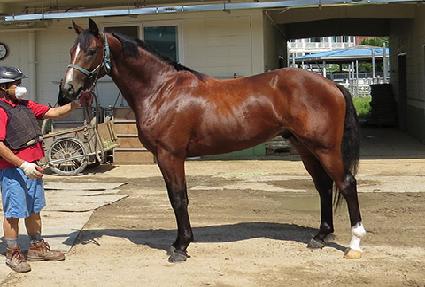 �Ƹ����ټ� ����