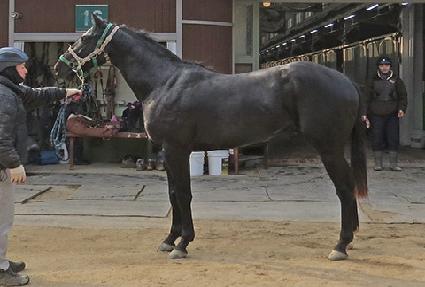 ���ϳ��� ����