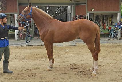 �Ƹ��ٿ���� ����