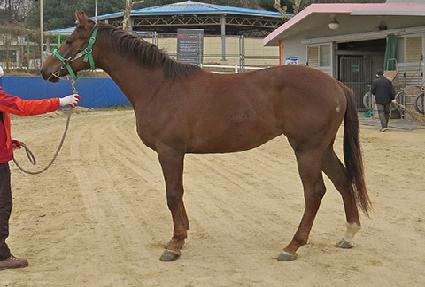 �����ܼ�Ʈ ����