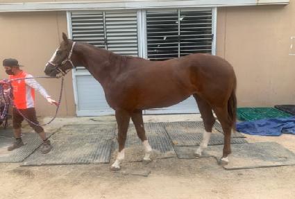 �Ƴʷε� ����