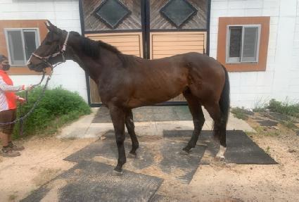 ���̸�� ����