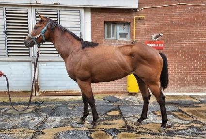 �ε������� ����