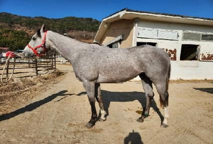 ���׷��̸� ����