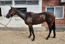 ���ֿ��� (UNJU OREUM) ����