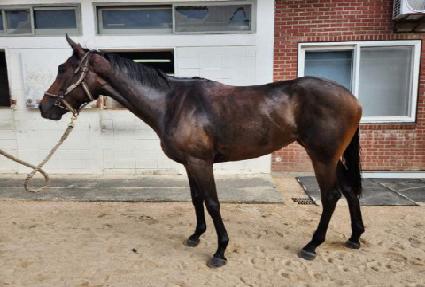 ���ֿ��� ����