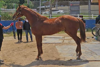 ť�ǵ彺�� ����