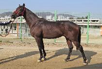 ���Ƿշ� (SEONGSIL LONGRUN) ����