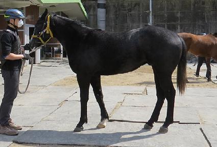 ��ġ�� ����