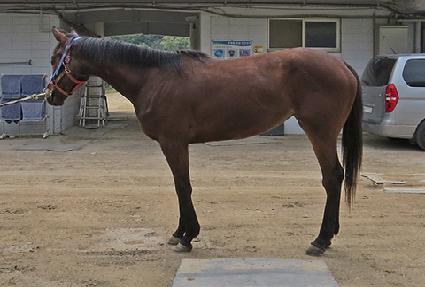 ���̳����� ����