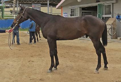 ��Ʈĸƾ ����