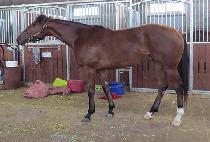 ��������� (SESANG APEURO) ����