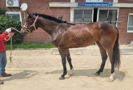 ���������� ����