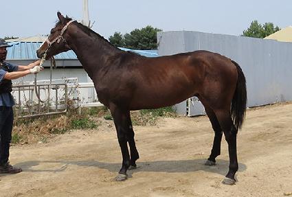 �ż�è�� ����