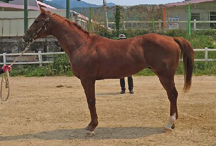 ���������� ����